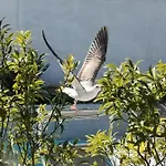 Omnia ヴィラ ザダル